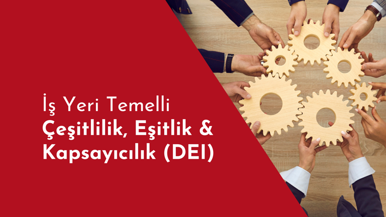 Çeşitlilik, Eşitlik ve Kapsayıcılık (DEI) – İş Yeri Temelli