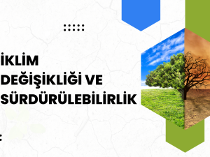 Başlık (67).png